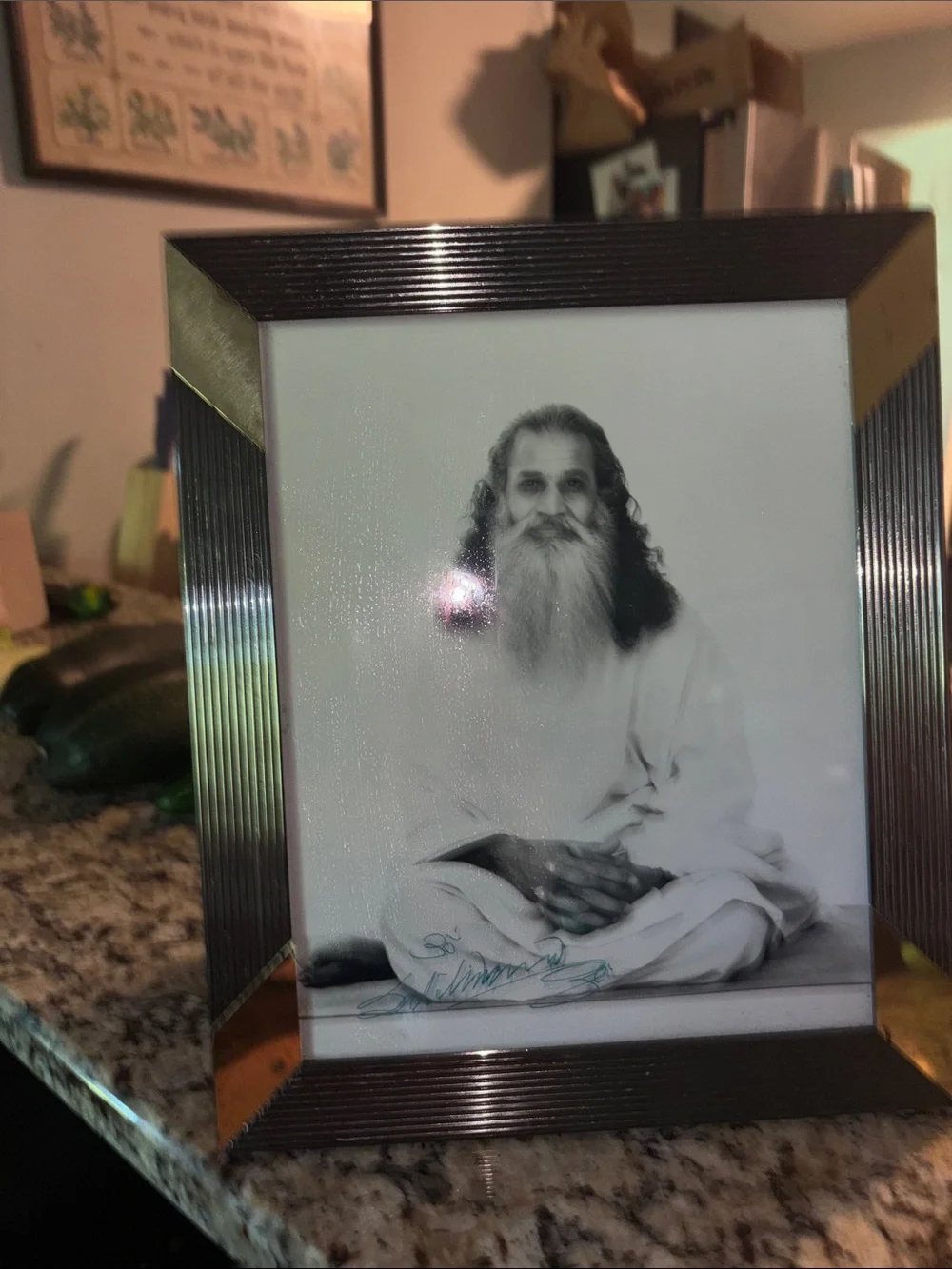 Sri Swami Satchidanda~ Autographed  Portrait in Frame Vintage ~ Authenticated